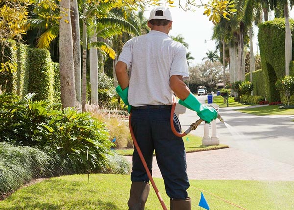 About Dora AL Pest Control Pros